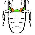 abb002.gif