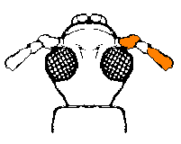 abb083.gif