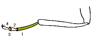 abb088.gif