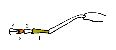abb089.gif