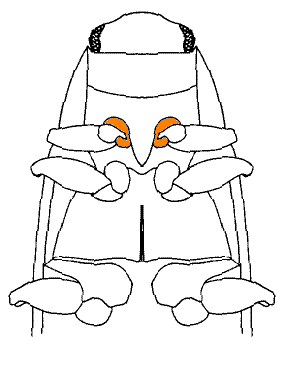 abb093.gif