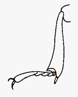 abb102.gif