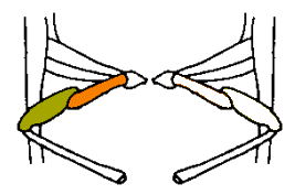abb107.gif