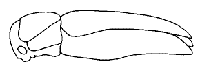 abb125.gif