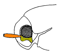 abb128.gif