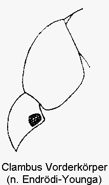 clambus_vk.gif