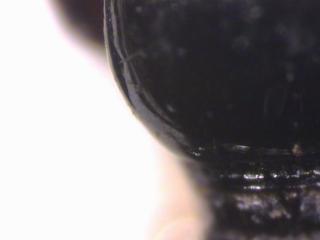 dyschirius_hsch.jpg