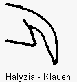 halyzia_klauen.gif