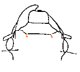 harpalini_k2.gif