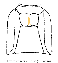 hydrosmecta_br.gif