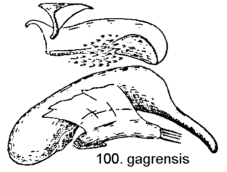 tre100.gif