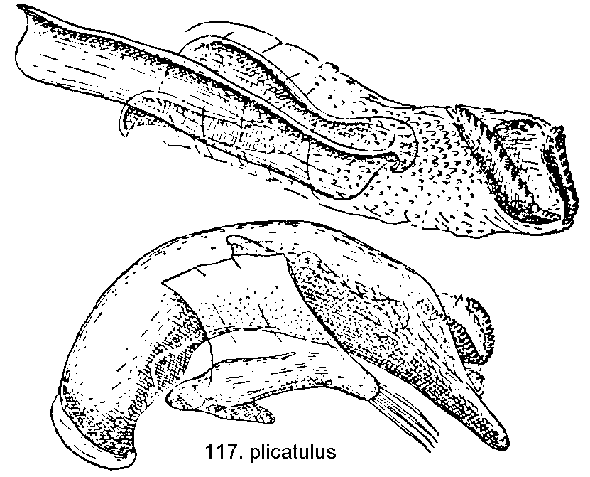 tre117.gif