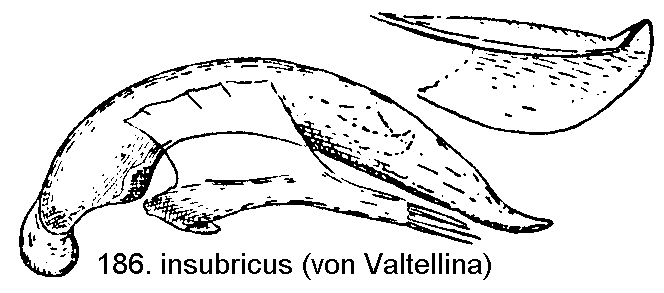 tre186_2.gif