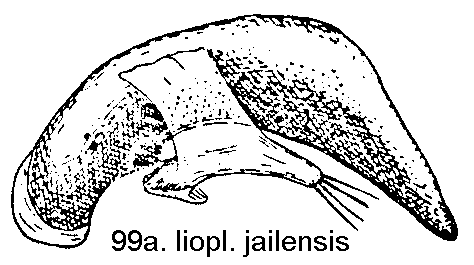 tre99a.gif